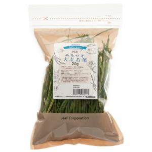 Leaf Corp 令和7年産 国産 やみつきイタリアンライグラス 20g お
