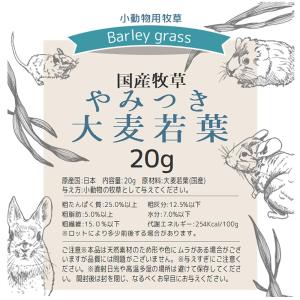 令和8年産 国産牧草 やみつき大麦若葉 20g...の詳細画像5