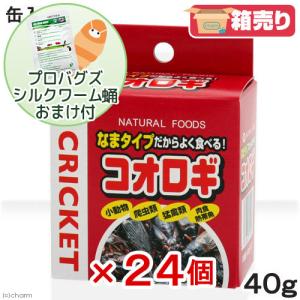 コオロギ　ＮＰＦ　コオロギ（缶入り）　４０ｇ×２４箱　プロバグズシルクワーム蛹１５ｇおまけ付き｜chanet