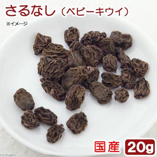 国産　さるなし（ベビーキウイ）　２０ｇ　小動物用のおやつ　国産