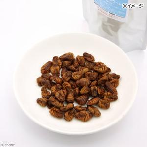 乾燥シルクワーム 100g 無添加 無着色 フ...の詳細画像1