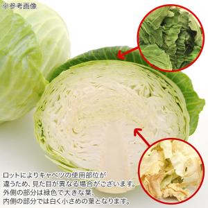 国産 キャベツ 150g 小動物のおやつ 無添...の詳細画像2