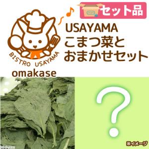 ＵＳＡＹＡＭＡ　こまつ菜とおまかせセット　小動物用｜chanet