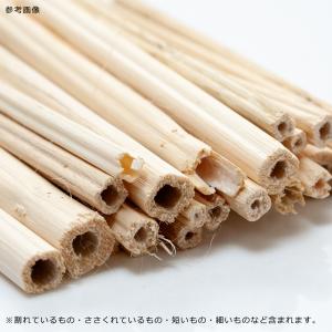 小鳥のための麻がら 10g 鳥用 破壊系おもちゃの詳細画像3