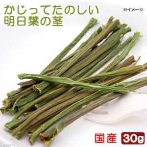 国産　かじってたのしい　明日葉の茎　３０ｇ　小動物用のおやつ　無添加　無着色　かじり木　うさぎ｜chanet