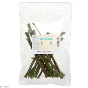 国産 かじってたのしい 明日葉の茎 30g 小...の詳細画像1