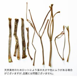 国産 かじってたのしい 明日葉の茎 30g 小...の詳細画像4