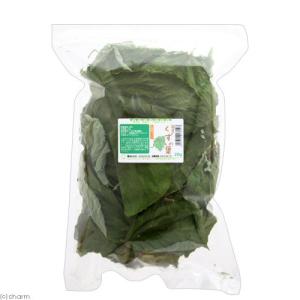 国産 くずの葉 20g お徳用パック 小動物の...の詳細画像1