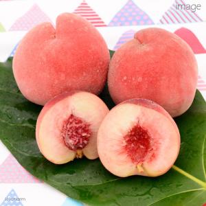 犬 おやつ 果物 国産 新もも 100g お徳...の詳細画像3
