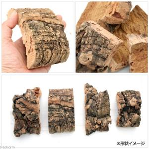 小鳥のための天然コルク 1個入り 鳥用 破壊系...の詳細画像2