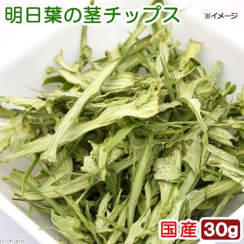 国産　明日葉の茎チップ　３０ｇ　無添加　無着色　小動物のおやつ