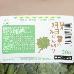 国産 明日葉のみじん切り 30g 無添加 無着...の詳細画像1