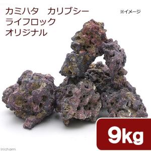 レッドシー ATS ライブロックモジュール E (W390×D140×H120) : G3 AQUA