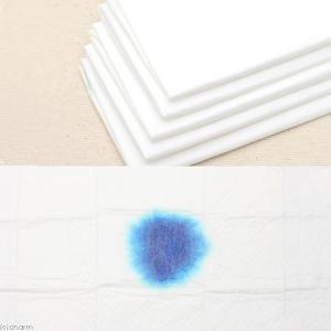 国産ペットシーツ 薄型レギュラー 160枚 1...の詳細画像1