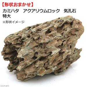 カミハタ アクアリウムロック 気孔石 大 形状お任せ : チャーム charm