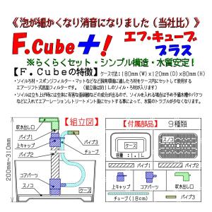 チョイス F.cube エフ.キューブ プラス...の詳細画像1
