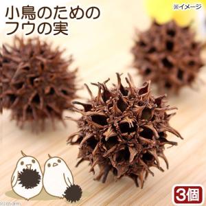 小鳥のためのフウの実 3個入り 鳥用 天然素材おもちゃ