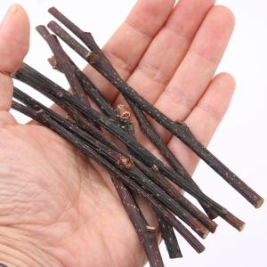 かじり木 国産 なしの木 極細枝 30g 小動...の詳細画像2