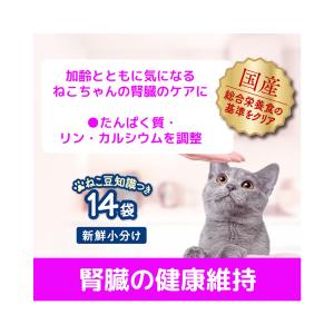 キャットフード コンボ プレゼント キャット ...の詳細画像2