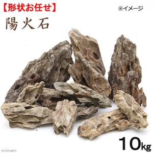 形状お任せ　陽火石　サイズミックス　１０ｋｇ　６０ｃｍ水槽向け　アクアリウム　レイアウト素材｜chanet