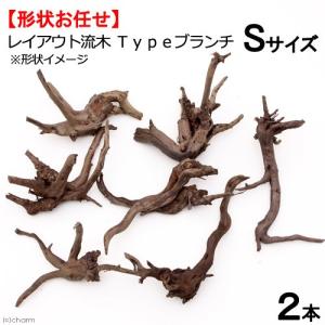 形状お任せ レイアウト流木 Ｔｙｐｅブランチ　Ｓサイズ(１０〜２０ｃｍ)　２本セット