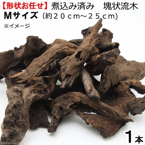 形状お任せ　煮込み済み　塊状流木　Ｍサイズ（約２０〜２５ｃｍ）　１本　レイアウト素材