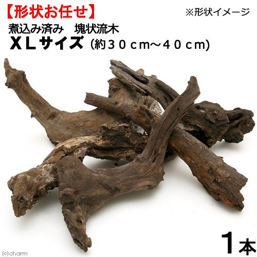 形状お任せ　煮込み済み　塊状流木　ＸＬサイズ（約３０〜４０ｃｍ）　１本　レイアウト素材