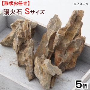 形状お任せ　陽火石　Ｓサイズ（約４〜１０ｃｍ）　５個　アクアリウム　レイアウト素材｜chanet