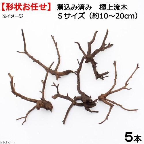 形状お任せ　煮込み済み　極上流木　Ｓサイズ（約１０〜２０ｃｍ）５本　アクアリウム　テラリウム　レイア...