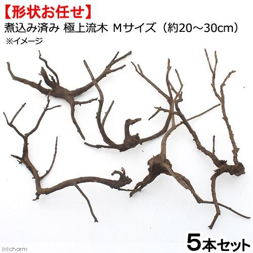 形状お任せ　煮込み済み　極上流木　Ｍサイズ（約２０〜３０ｃｍ）５本　アクアリウム　テラリウム　レイア...