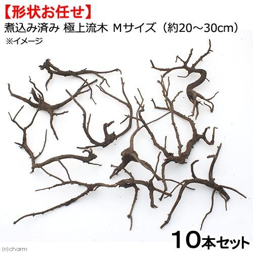 形状お任せ　煮込み済み　極上流木　Ｍサイズ（約２０〜３０ｃｍ）１０本　アクアリウム　テラリウム　レイ...