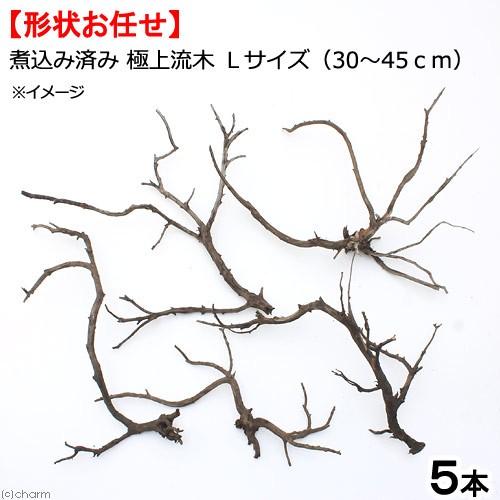 形状お任せ　煮込み済み　極上流木　Ｌサイズ（約３０〜４５ｃｍ）　５本　アクアリウム　テラリウム　レイ...