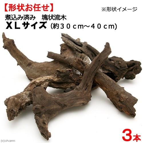 形状お任せ　煮込み済み　塊状流木　ＸＬサイズ（約３０〜４０ｃｍ）　３本　レイアウト素材