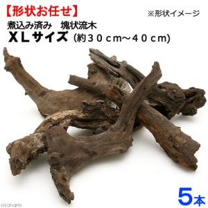 チャーム（charm） 形状お任せ 煮込み済み 上質流木 雅 サイズミックス