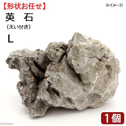 形状お任せ　英石　Ｌサイズ（約１５〜２０ｃｍ）　１個　アクアリウム　レイアウト素材
