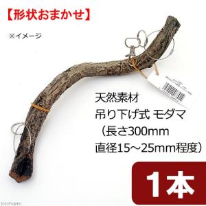 天然素材　吊り下げ式　モダマ　Ｓ３０Ｈ　（長さ３００ｍｍ　直径１５〜２５ｍｍ程度）　スパイラルパーチ