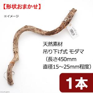 天然素材　吊り下げ式　モダマ　Ｓ４５Ｈ　（長さ４５０ｍｍ　直径１５〜２５ｍｍ程度）　スパイラルパーチ