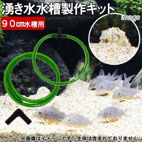 ９０ｃｍ用　湧き水水槽製作キット　湧き水　コリドラス水槽　お一人様１点限り