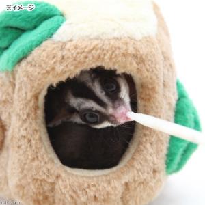 モモンガのミルク いちご味 100g 高級ヤギ...の詳細画像2