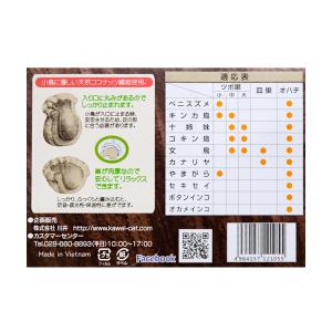 川井 ココナッツ 皿巣の詳細画像3