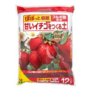 ダークピートモス・納豆菌入り いちご専用 育苗培養土 30L : 農業資材