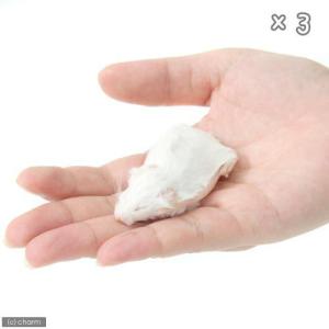冷凍★ホッパー カタ養殖 Mice18 冷凍マ...の詳細画像1