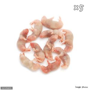 冷凍★富城 ピンクマウスS(10匹) ×5(約...の詳細画像2
