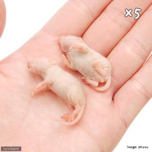 冷凍★富城 ピンクマウスL(10匹)×5(約4...の詳細画像1