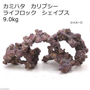 LSS研究所 人工ライブロック リアルリーフロック ナノ 約2kg 同梱発送