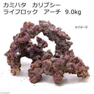 カリブシー ライブロックレプリカ ライフロック アーチ ９．０ｋｇ バクテリア付きの商品画像