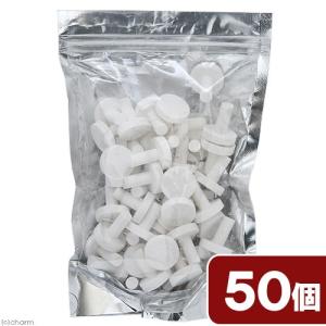 H&S 取寄せ商品 50Hz プロテインスキマーモーターブロック