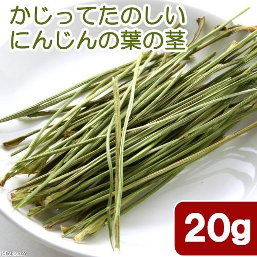 国産　かじってたのしい　にんじんの葉の茎　２０ｇ　小動物のおやつ　無添加　無着色　かじり木　うさぎ