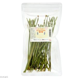 国産 かじってたのしい にんじんの葉の茎 20...の詳細画像1
