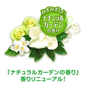 猫砂 猫トイレまくだけ 香り広がる消臭ビーズ ...の詳細画像2
